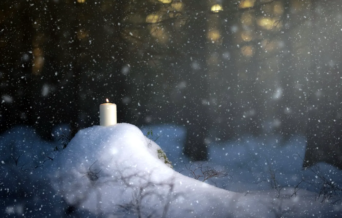 Фото обои лес, снег, свеча