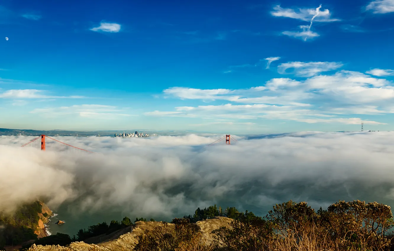 Фото обои небо, облака, мост, город, туман, Сан-Франциско, Золотые ворота