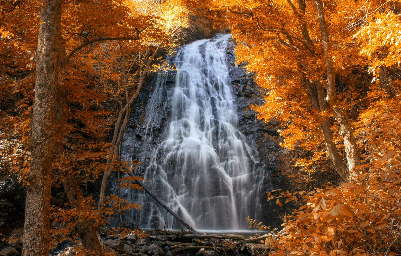 Фото обои осень, деревья, природа, водопад