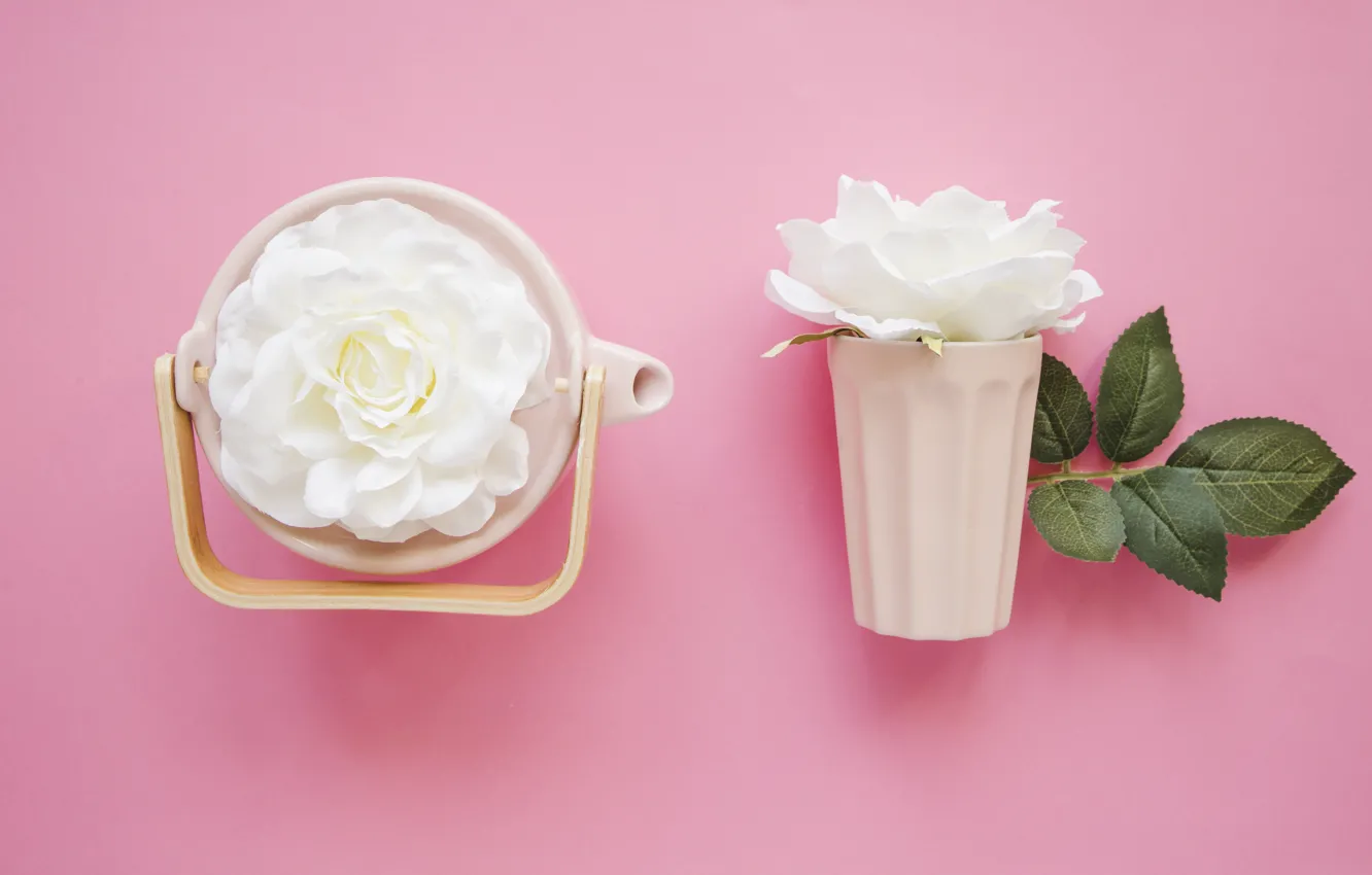 Фото обои цветы, фон, белые розы, Чайник