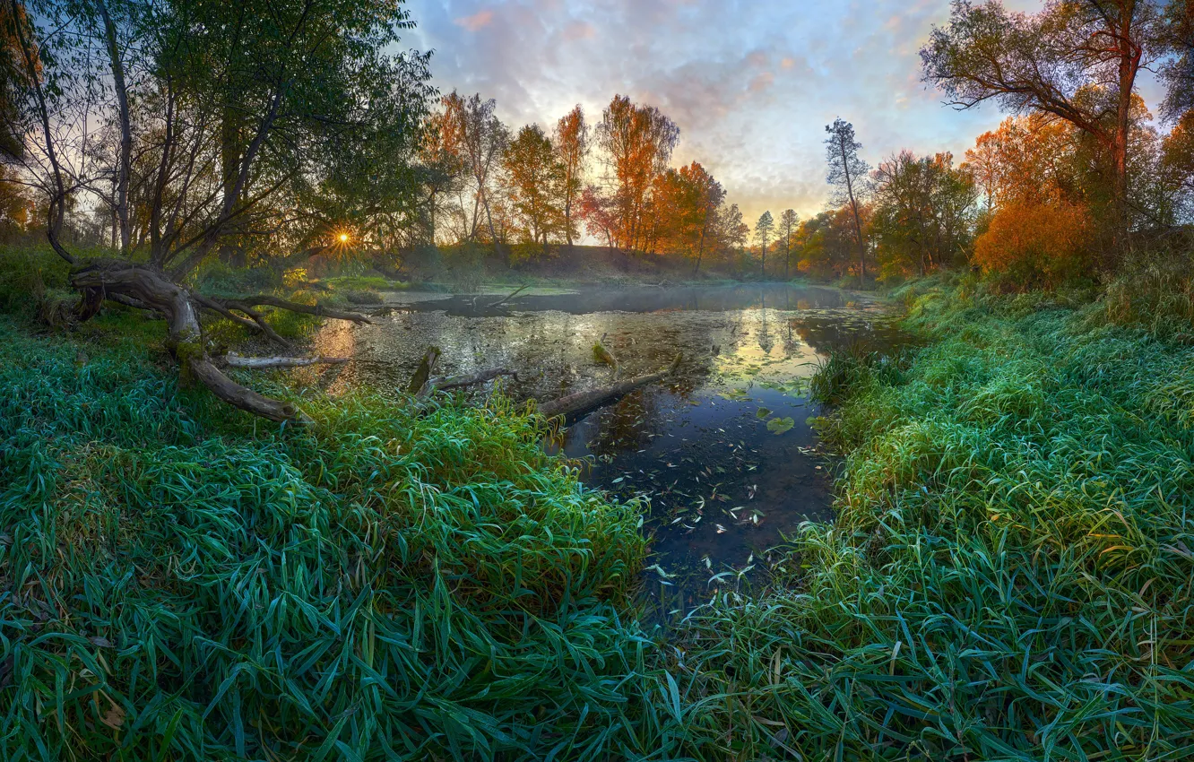 Фото обои осень, трава, солнце, лучи, пейзаж, природа, река, Константин Воронов