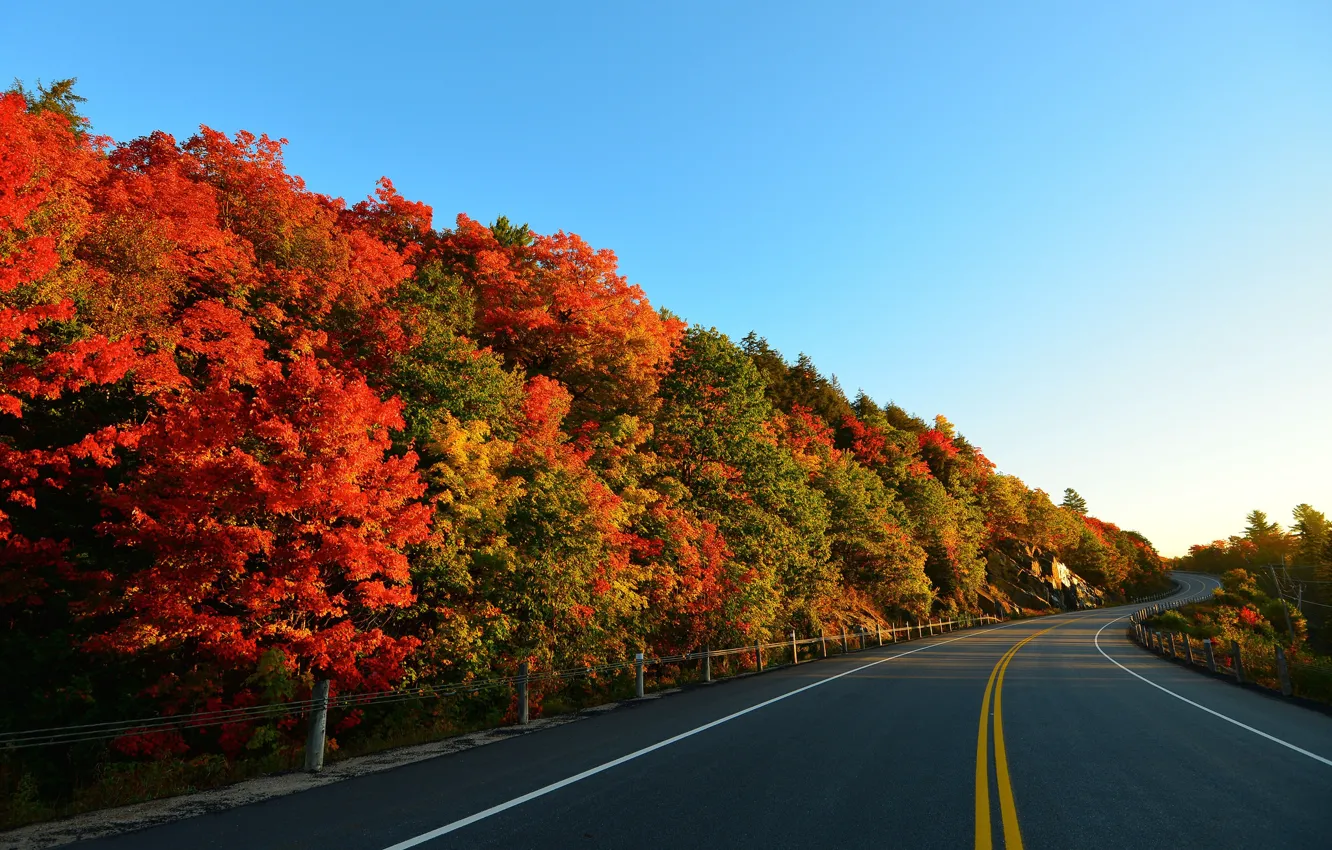 Фото обои дорога, осень, небо, деревья