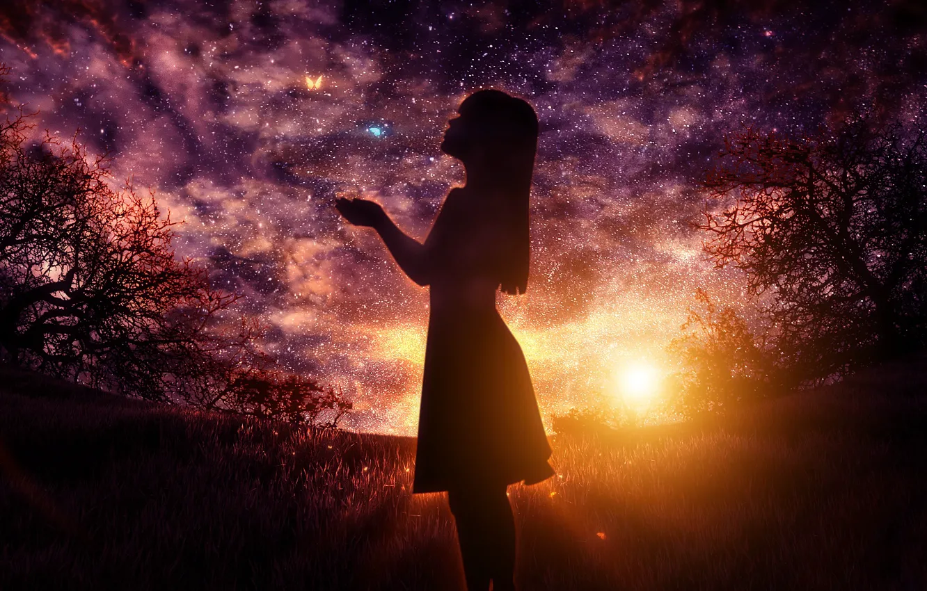 Фото обои girl, fantasy, sky, digital, sunset, art, stars, butterflies