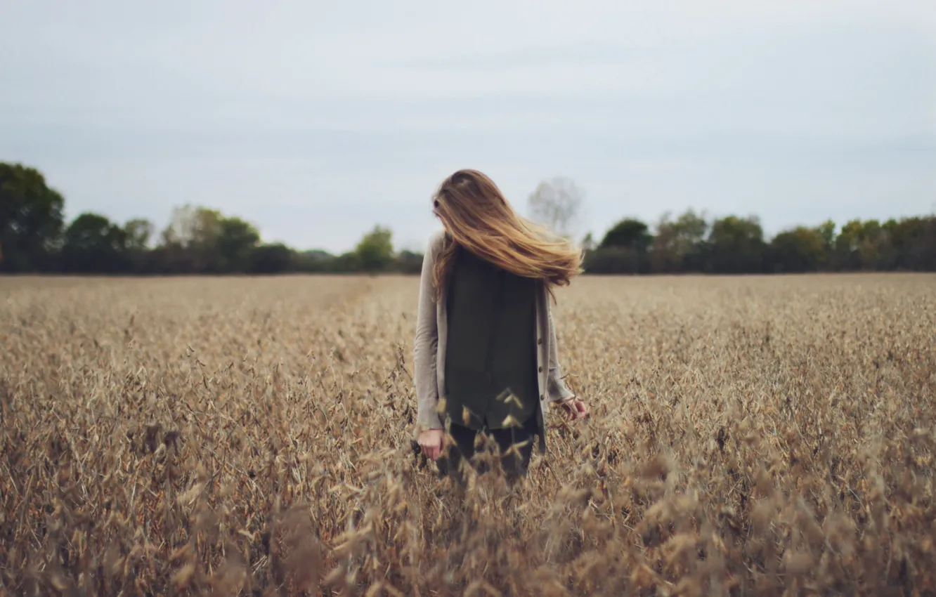 Фото обои поле, лес, волосы, крыло, forest, field, hair, wing
