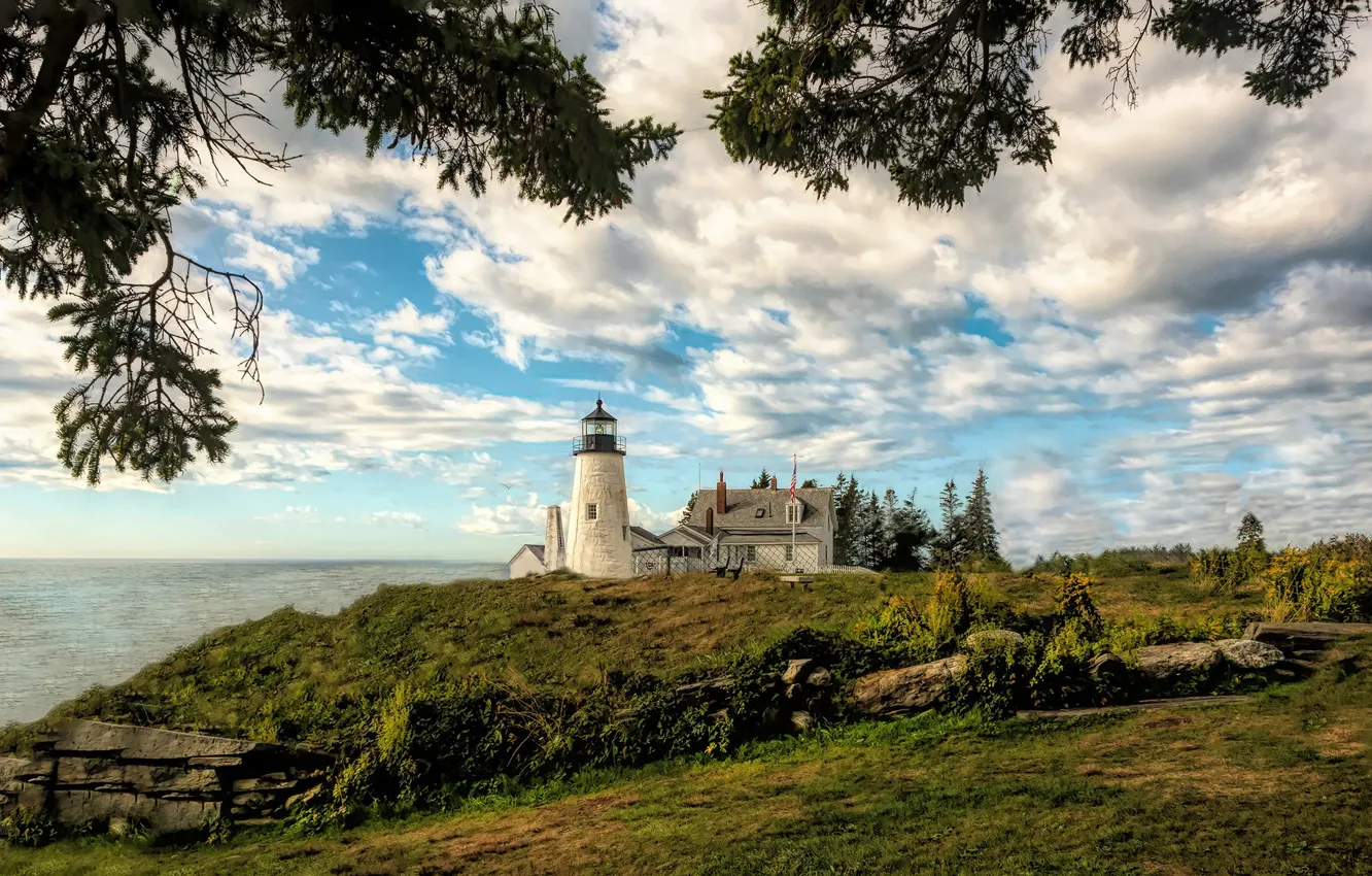 Фото обои ветки, океан, маяк, залив, Maine, Мэн, Pemaquid Point Lighthouse, Bristol
