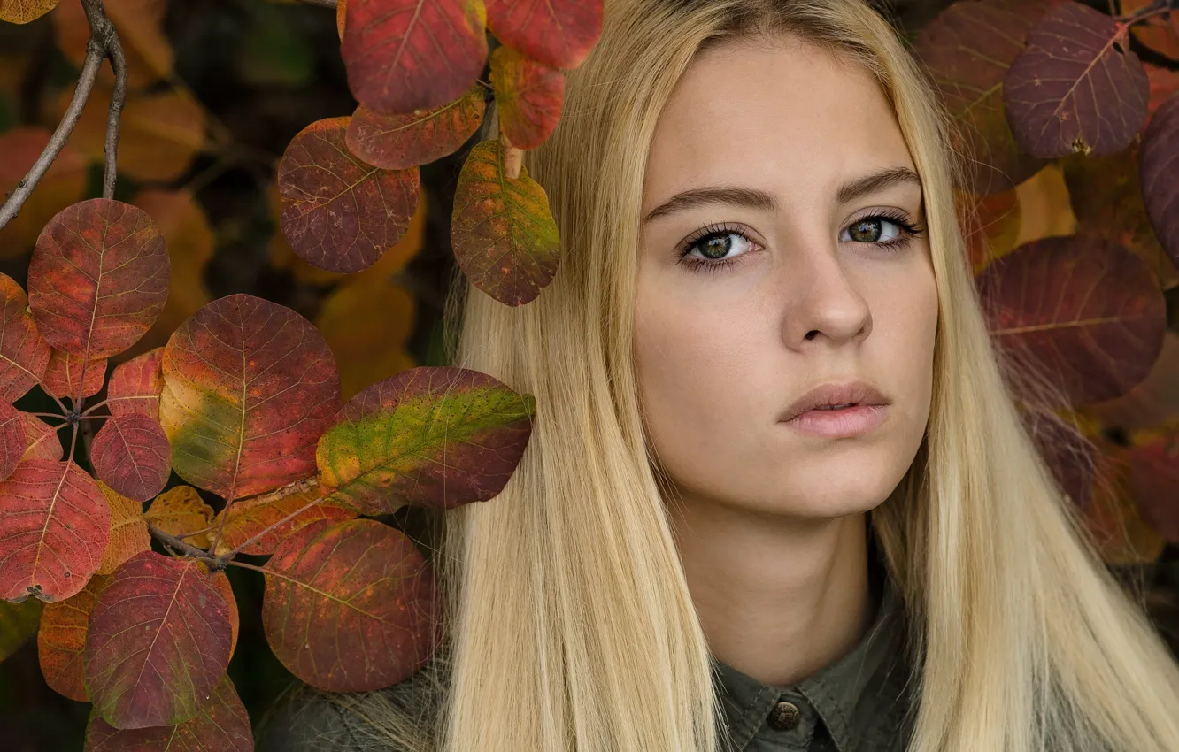 Фото обои осень, листья, девушка, лицо, блондинка, красивая