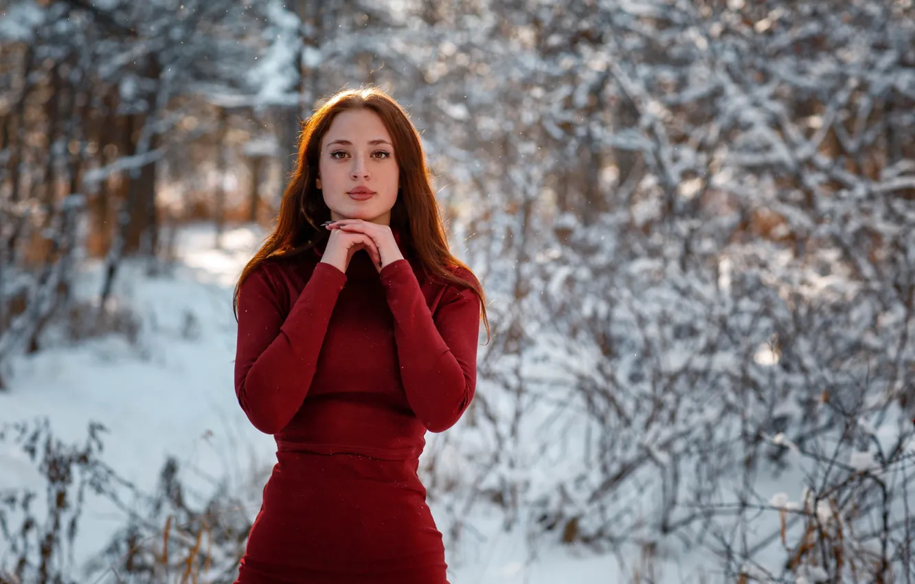 Фото обои зима, взгляд, поза, улыбка, Девушка, Алексей Гилёв