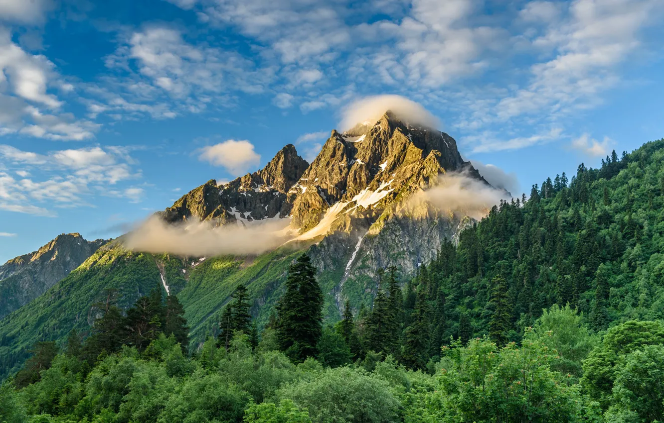 Фото обои лес, небо, горы, природа, Кавказ, Анна Андреева