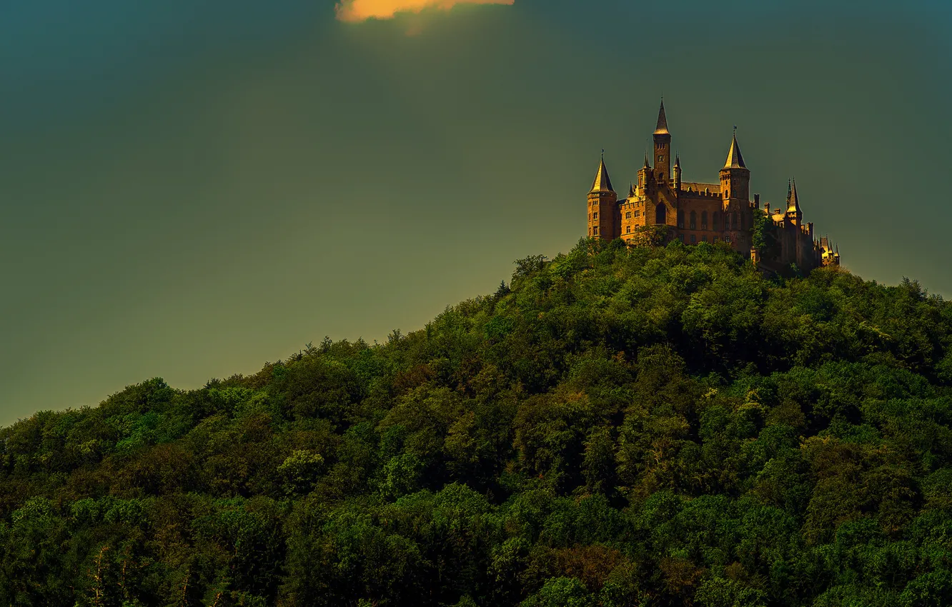 Фото обои лес, небо, деревья, стена, башня, гора, Германия, замок Гогенцоллерн
