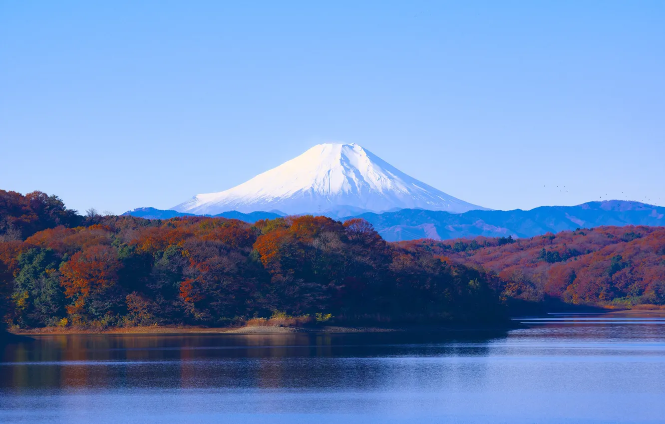Фото обои лес, небо, деревья, горы, озеро, снежный, вулкан, Япония