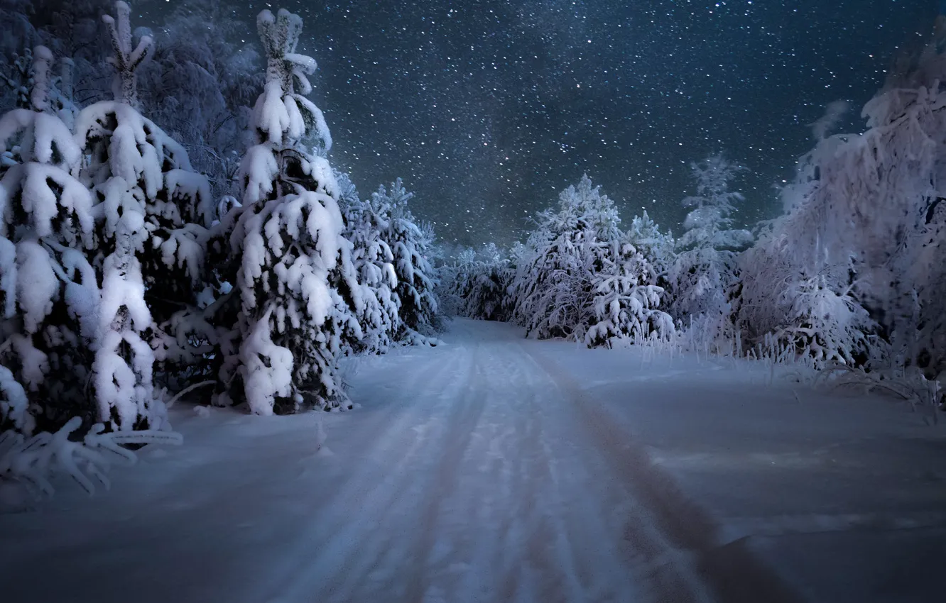 Фото обои зима, дорога, лес, небо, снег, деревья, снежинки, ночь