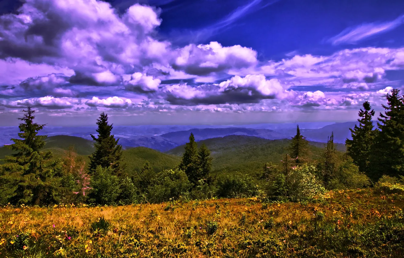 Фото обои небо, трава, облака, деревья, горы, Украина, леса, луга