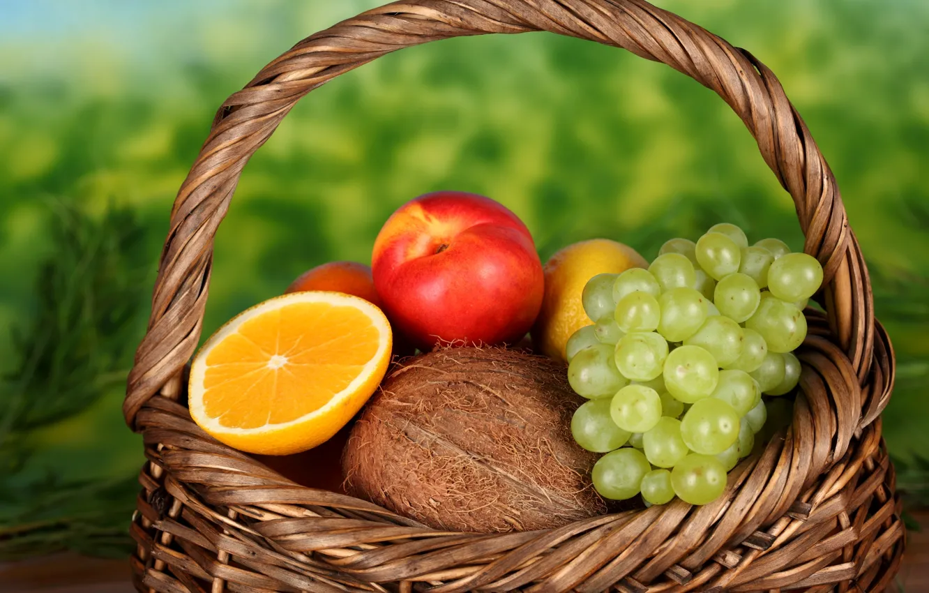 Фото обои лимон, корзина, апельсин, кокос, виноград, фрукты, персик, нектарин