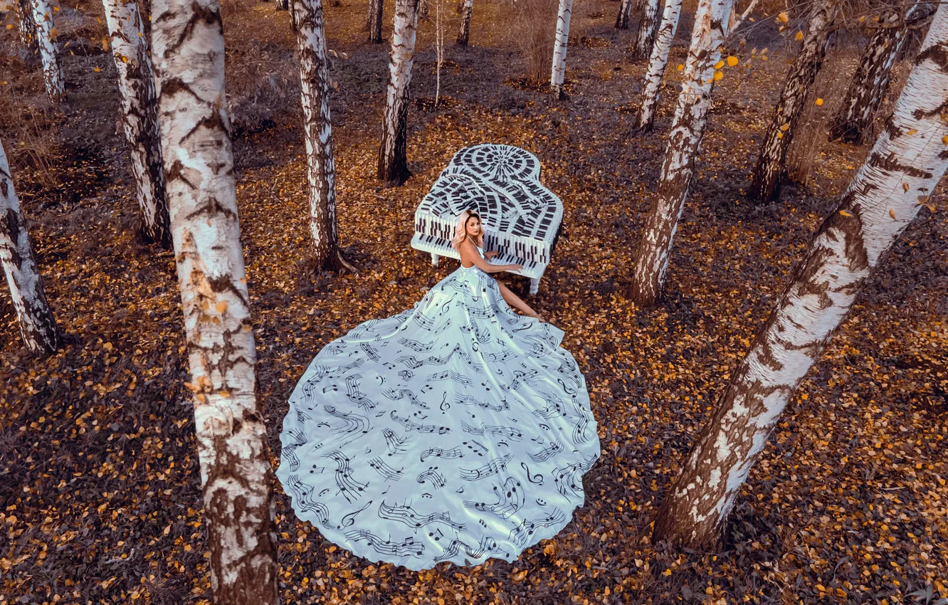 Фото обои осень, лес, взгляд, девушка, природа, поза, стиль, парк