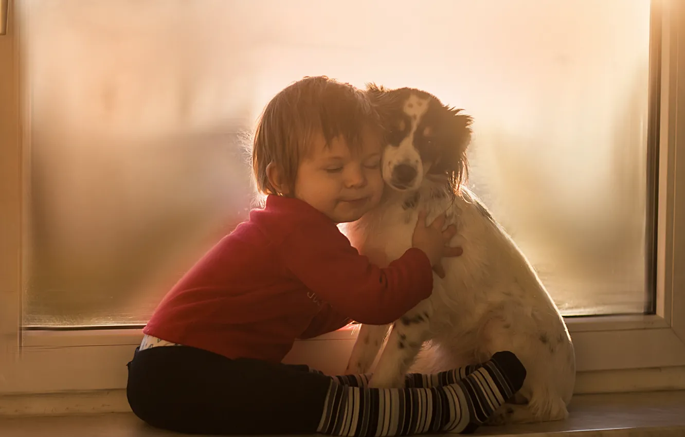 Фото обои собака, мальчик, окно