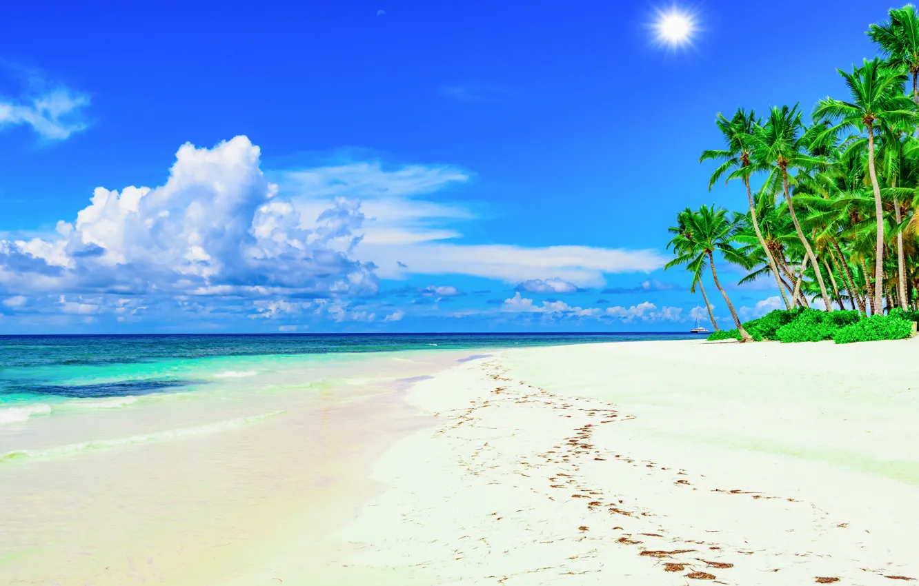 Фото обои песок, море, пляж, солнце, пальмы, берег, summer, beach