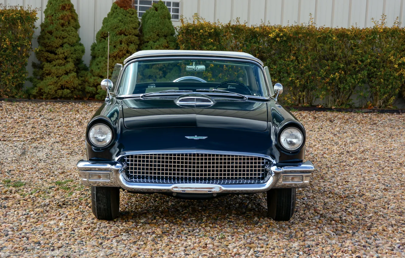 Фото обои Ford, Форд, 1957, ретро автомобили, Thunderbird, retro cars, Ford Thunderbird E-Code, E-Code