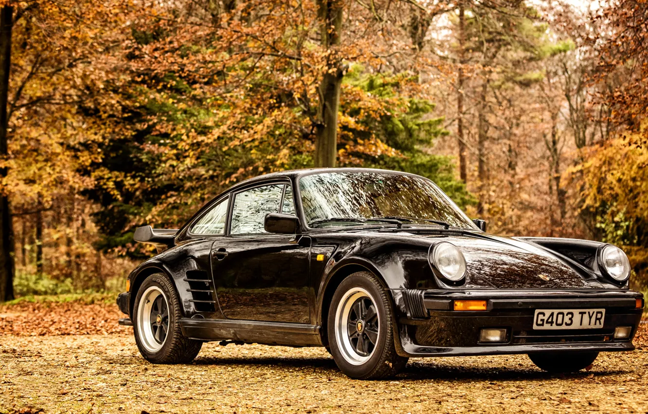 Фото обои 911, Porsche, порше, Coupe, Turbo, 1989, Limited Edition, 930