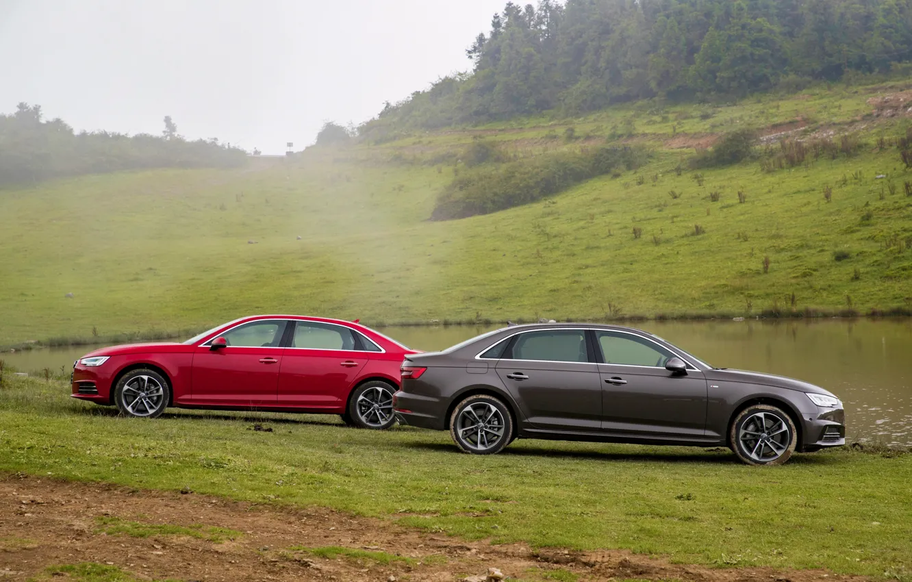 Фото обои Audi, Трава, Автомобиль, 2015-16, A4