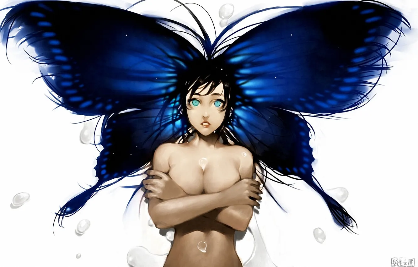 Фото обои грудь, девушка, бабочки, крылья, арт, белый фон