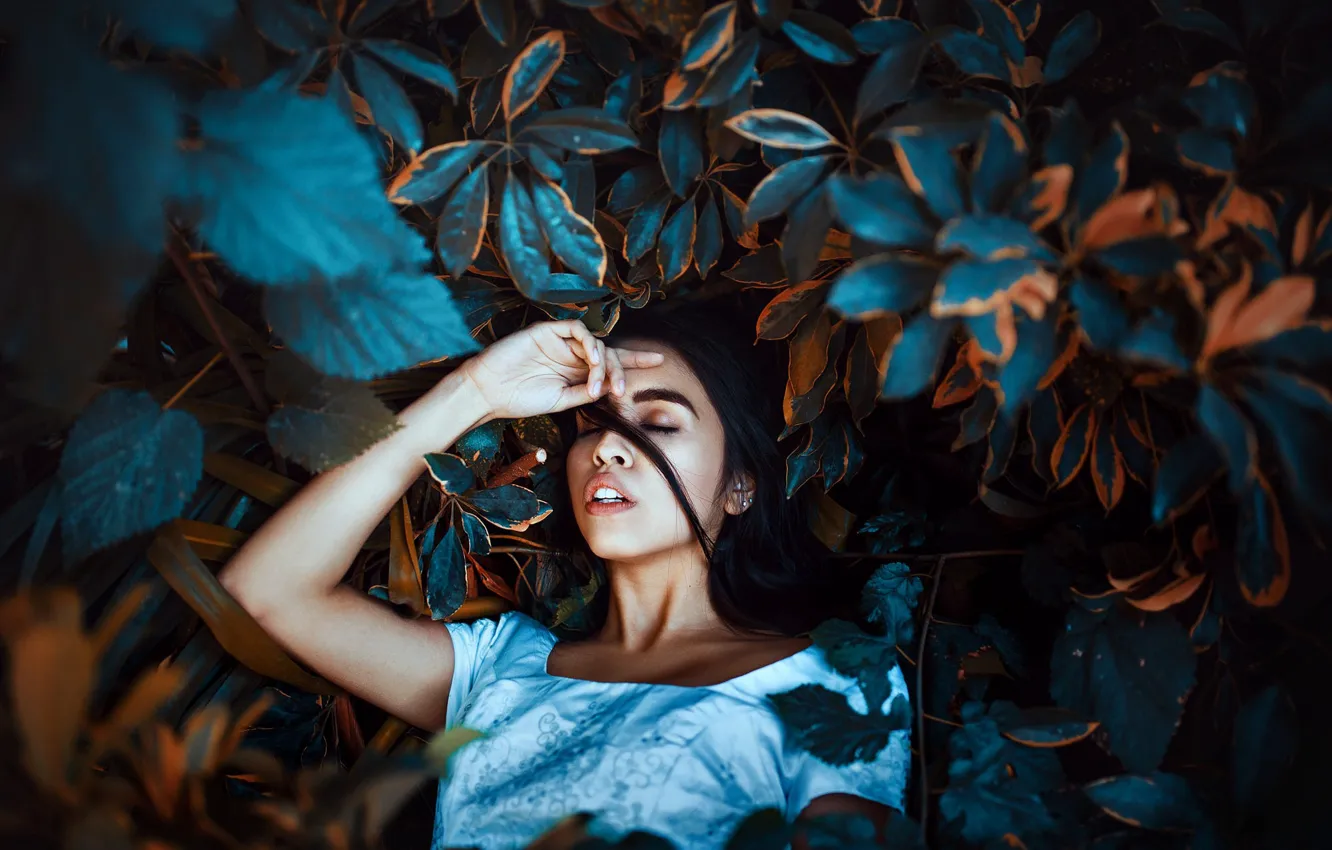 Фото обои листья, девушка, губки, зубки, Free fall, Ronny Garcia