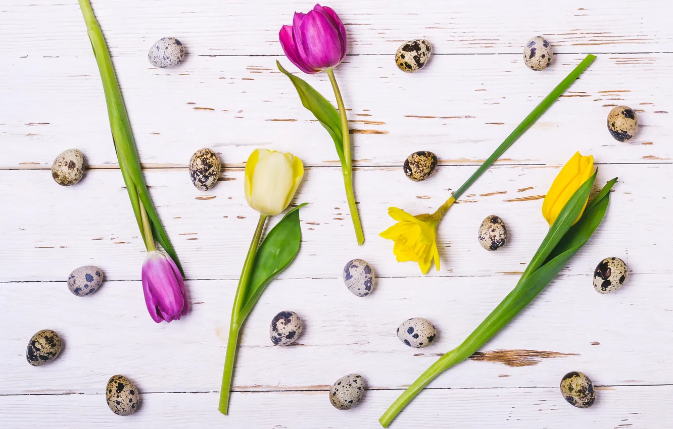 Фото обои цветы, яйца, весна, colorful, Пасха, happy, flowers, tulips