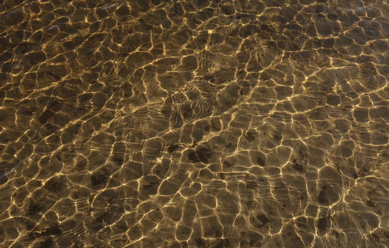Фото обои вода, рябь, светотень, коричневый