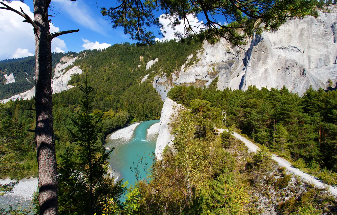 Фото обои горы, река, Швейцария, альпы, деревья.