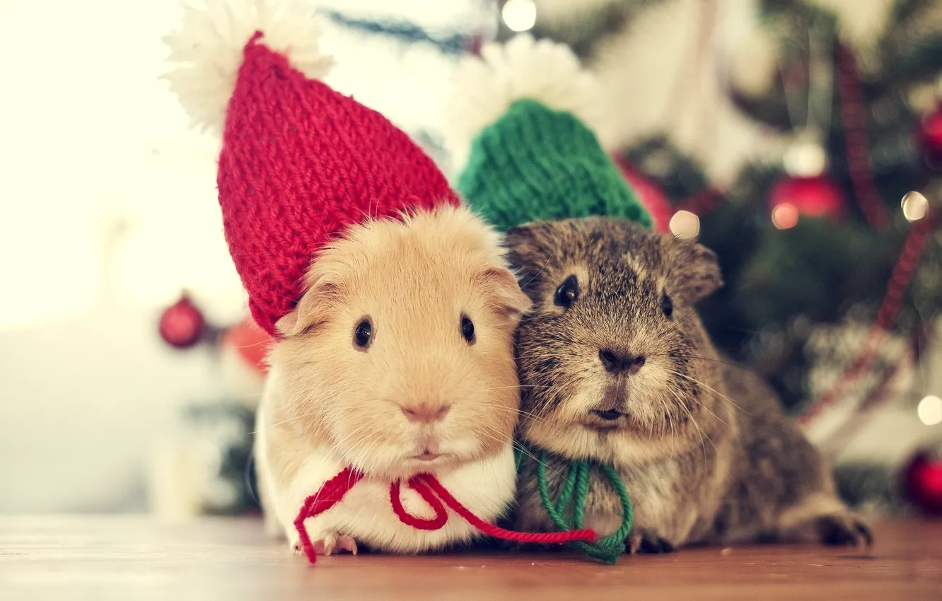 Фото обои зима, Love, Дерево, мышь, Рождество, Новый год, Животные, Christmas