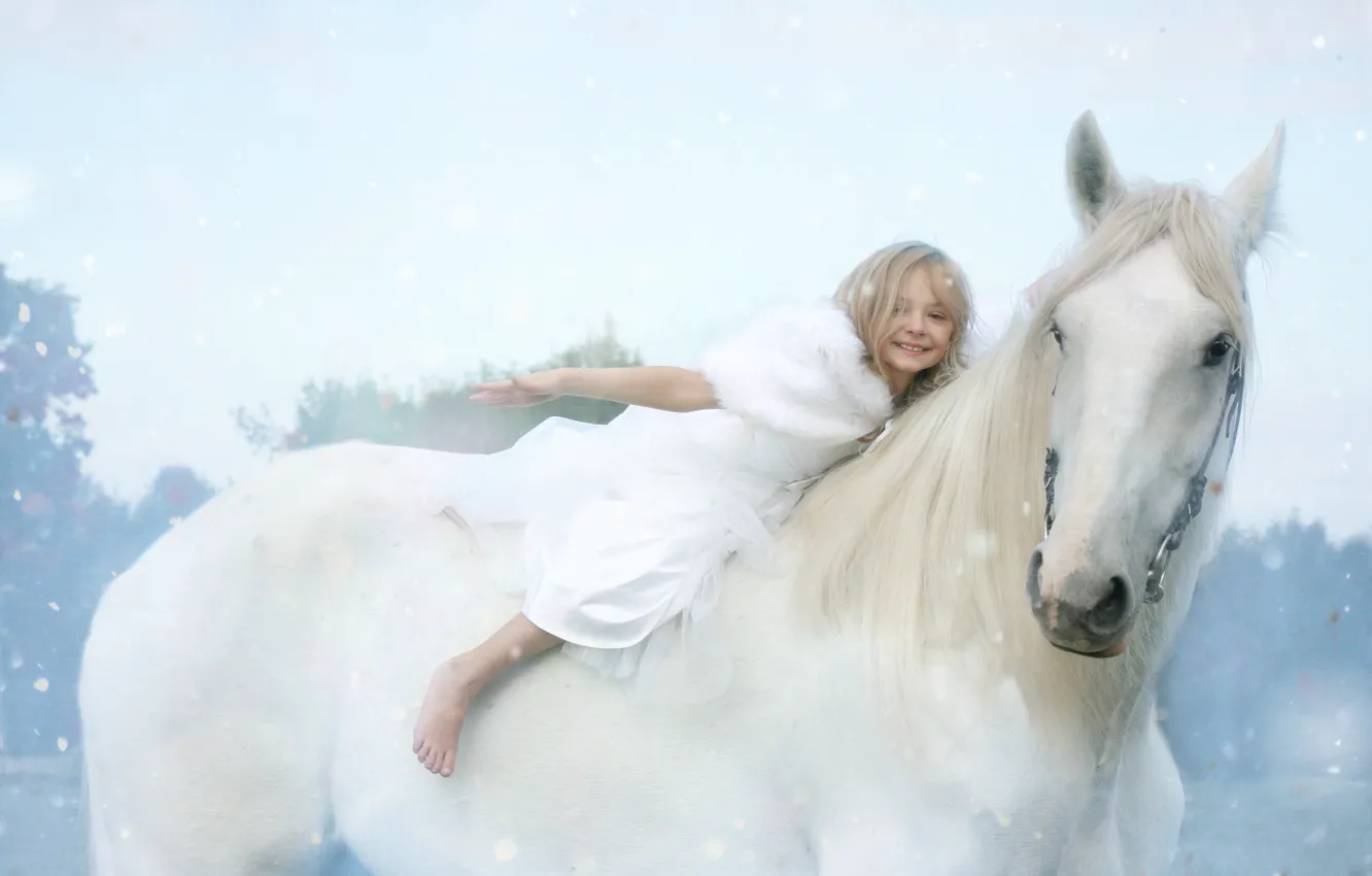 Фото обои зима, белый, взгляд, морда, снег, радость, природа, поза