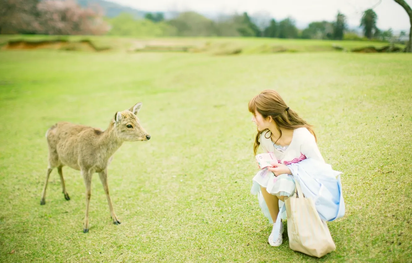Фото обои Asian, Model, Woman, Japanese, Outdoor, Deer
