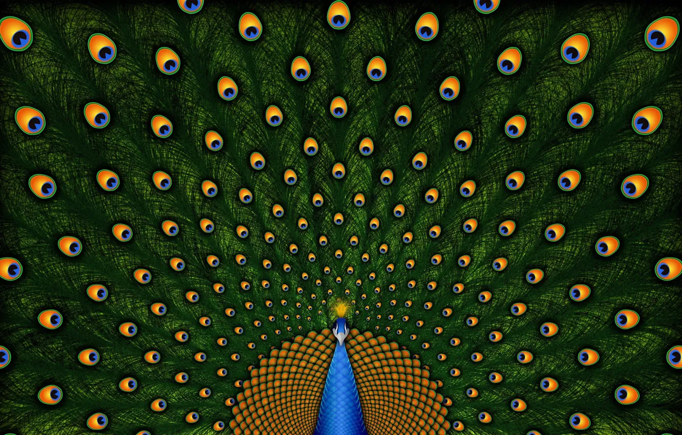 Фото обои nature, pattern, peacock