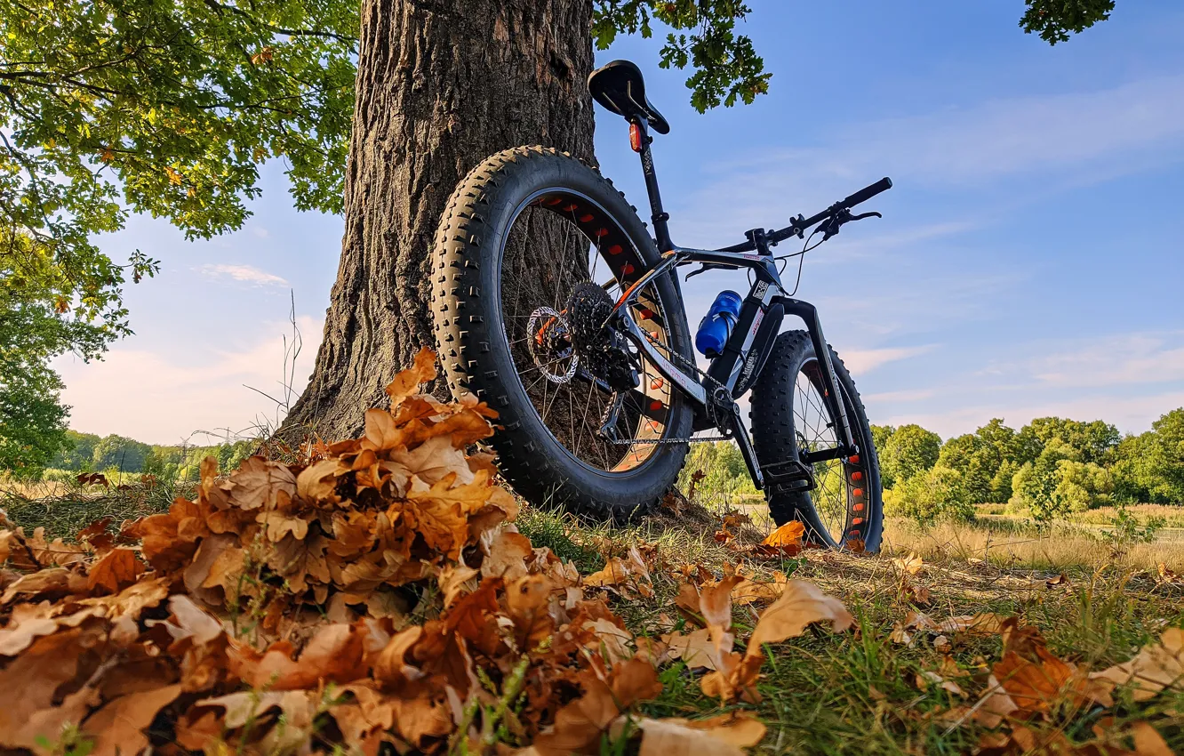Фото обои осень, листья, пейзаж, природа, велосипед, спорт, fat, фэт