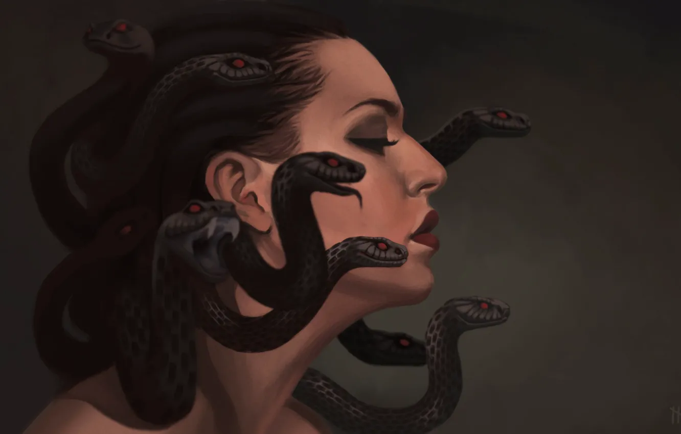 Фото обои змеи, арт, профиль, gargona, медуза Горгона