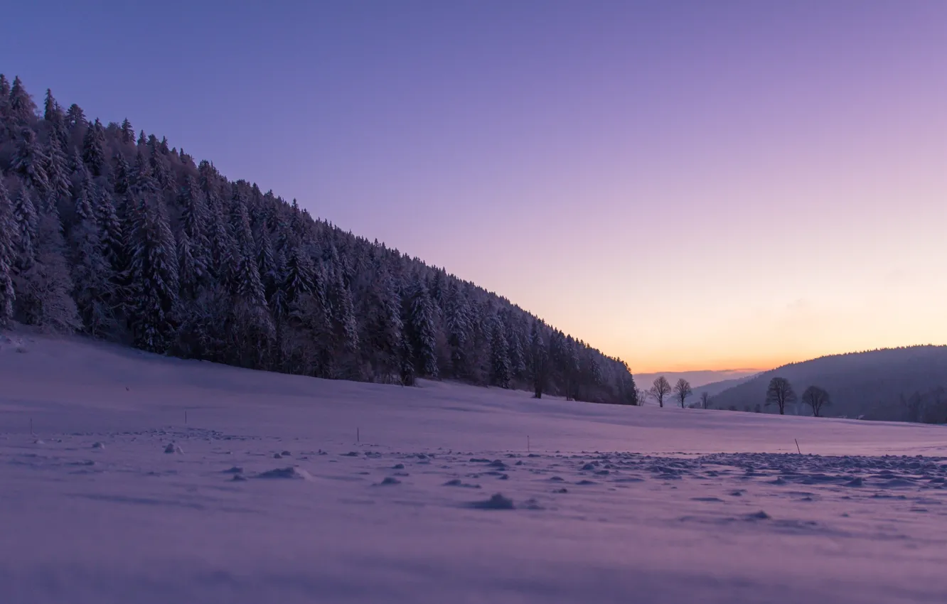 Фото обои зима, лес, снег, деревья, Швейцария, Switzerland, Ла Сань, La Sagne