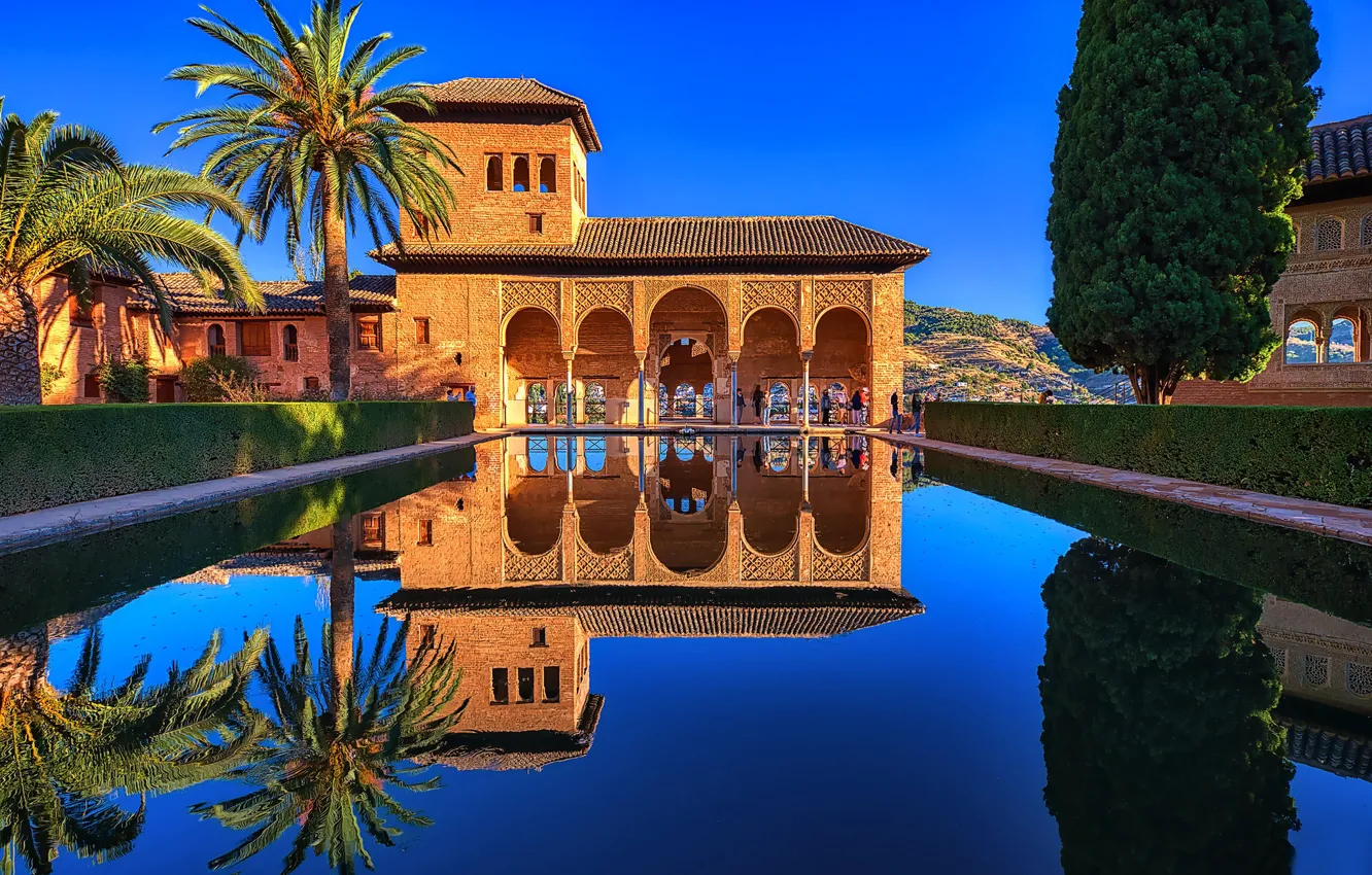 Фото обои отражение, пальмы, дерево, бассейн, Испания, дворец, Spain, Гранада