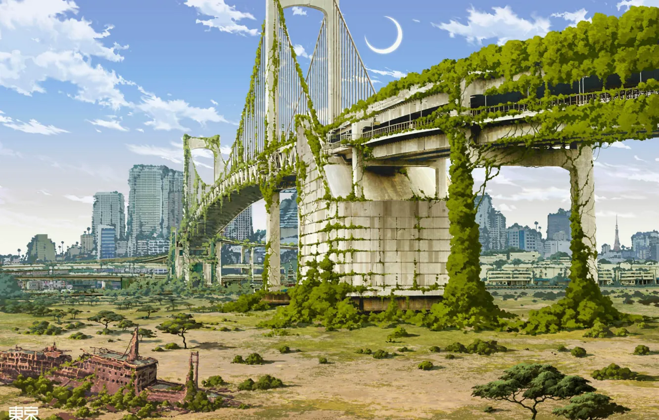 Фото обои дорога, мост, город, заросли, разрушение, постапокалипсис, art, Tokyo Ganza