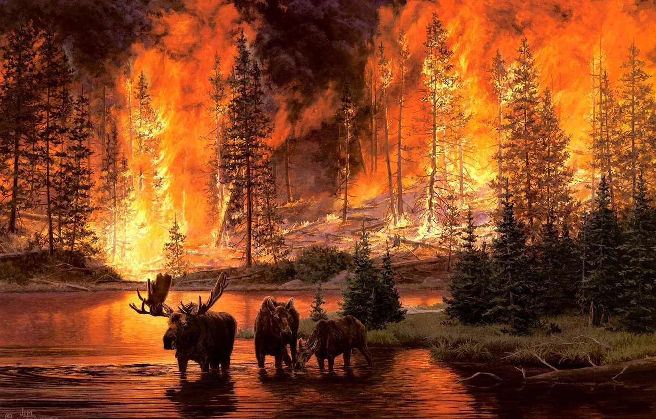 Фото обои лес, река, пожар, огонь, арт, лоси, пожар в лесу, Jim Tschetter