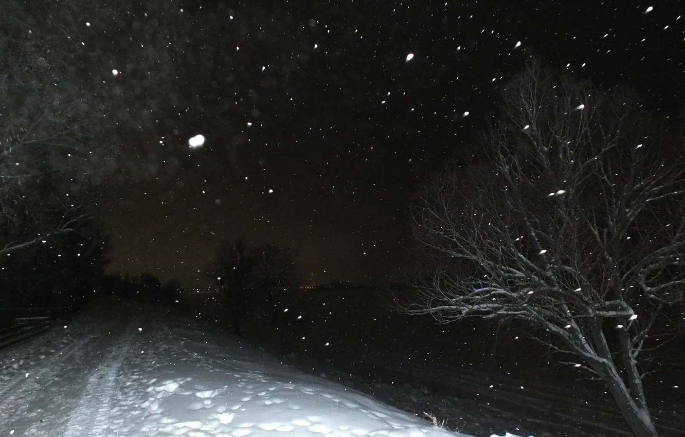 Фото обои дорога, снег, ночь, природа, дерево, волга