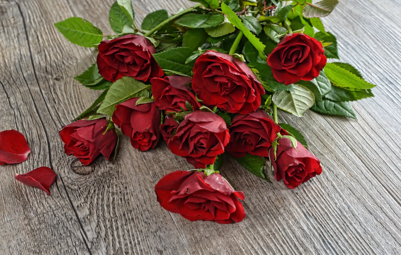 Фото обои стол, розы, букет, красные