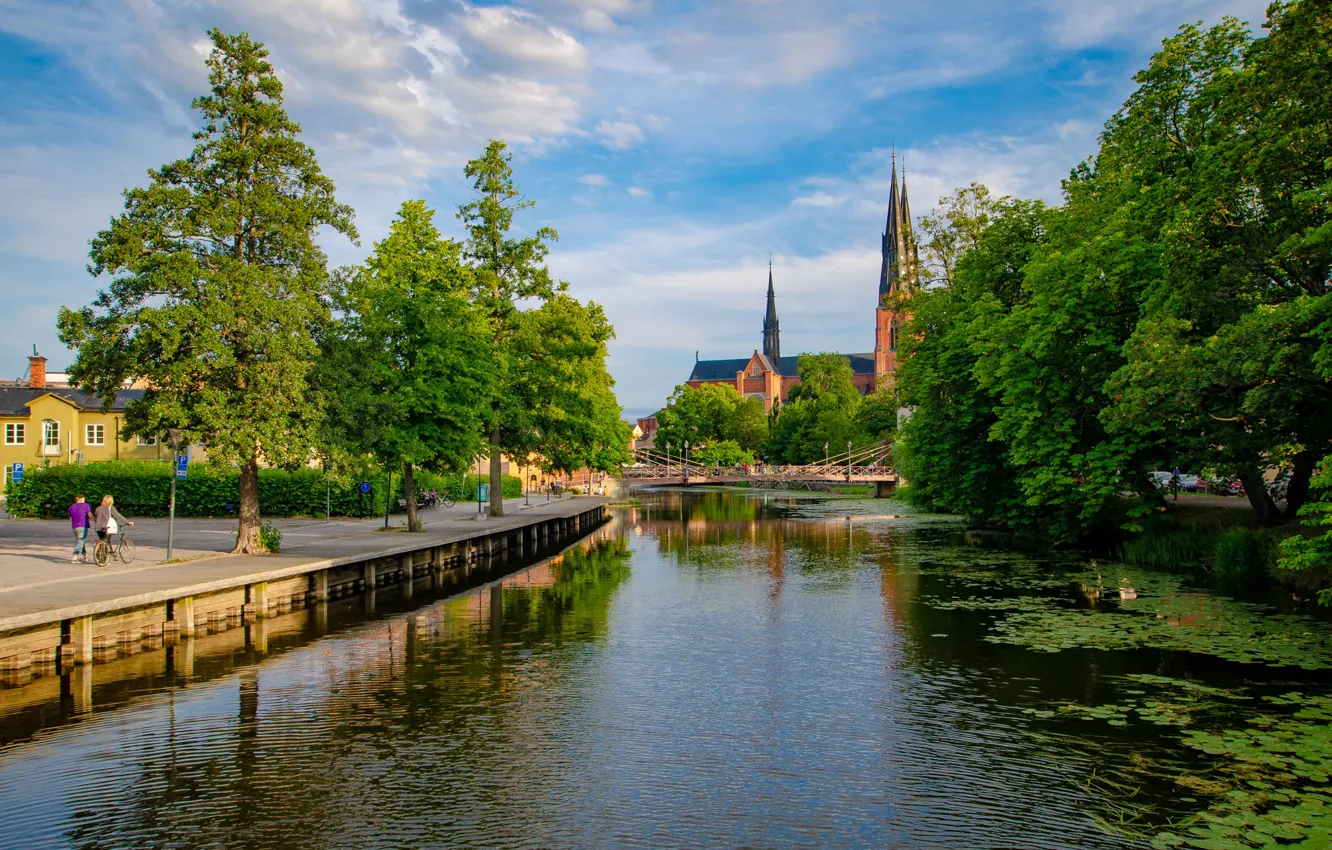 Фото обои деревья, Швеция, набережная, Uppsala
