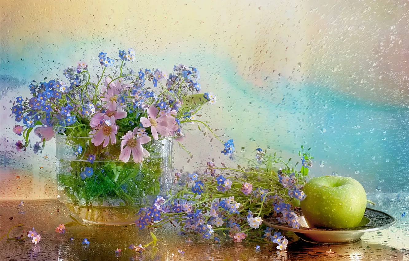 Фото обои вода, цветы, тарелка, ваза, натюрморт, незабудки, still life, космея