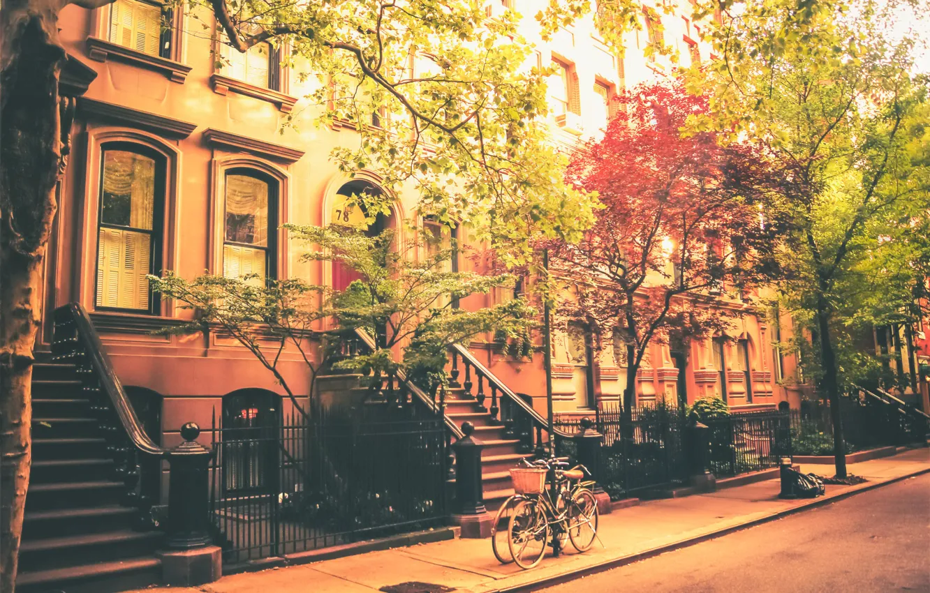 Фото обои солнце, деревья, велосипед, улица, дома, Нью-Йорк, Соединенные Штаты
