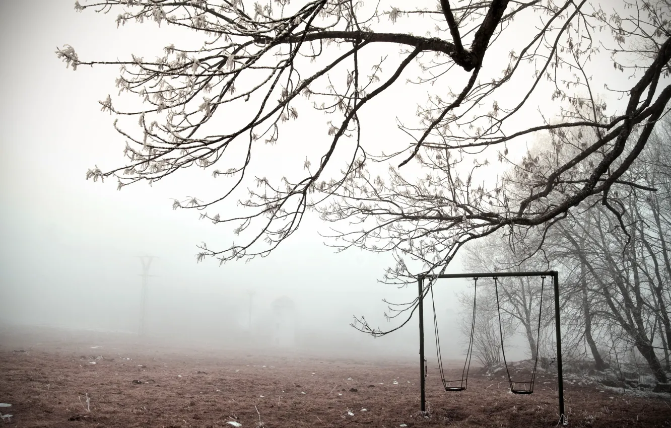 Фото обои зима, туман, качели