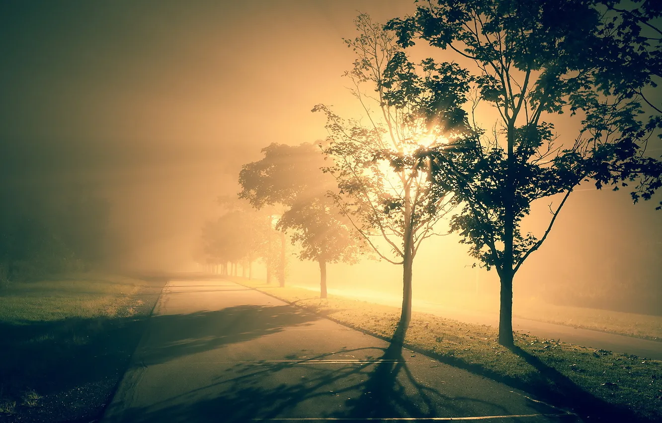 Фото обои пейзаж, ночь, город, туман