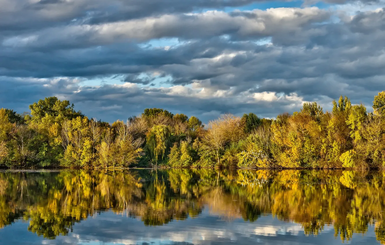 Фото обои деревья, озеро, отражение