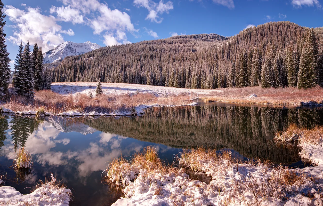 Фото обои зима, иней, лес, небо, трава, облака, снег, горы