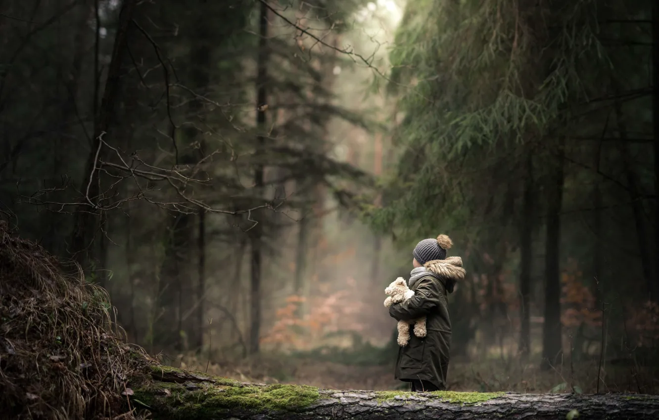Фото обои лес, игрушка, ребёнок