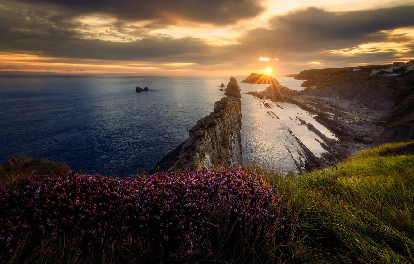 Фото обои море, трава, солнце, облака, закат, цветы, скалы, берег