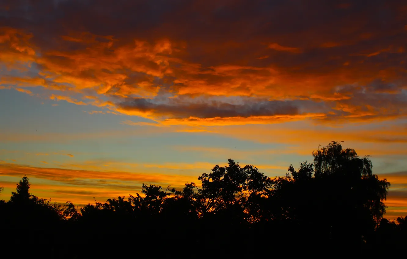 Фото обои sky, cloud, cloud - sky